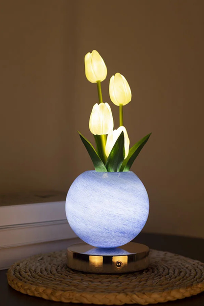 Solara TulipGlow™