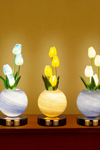 Solara TulipGlow™